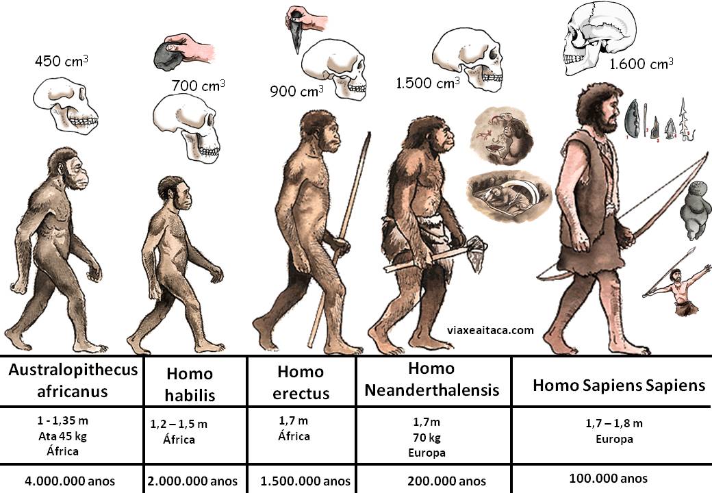 evolucic3b3n-humana-2.jpg