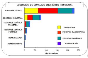 EVOLUCION DO CONSUMO ENERXETICO INDIVIDUAL